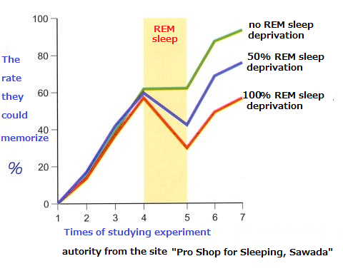 睡眠と記憶力の関係を調べる学習実験